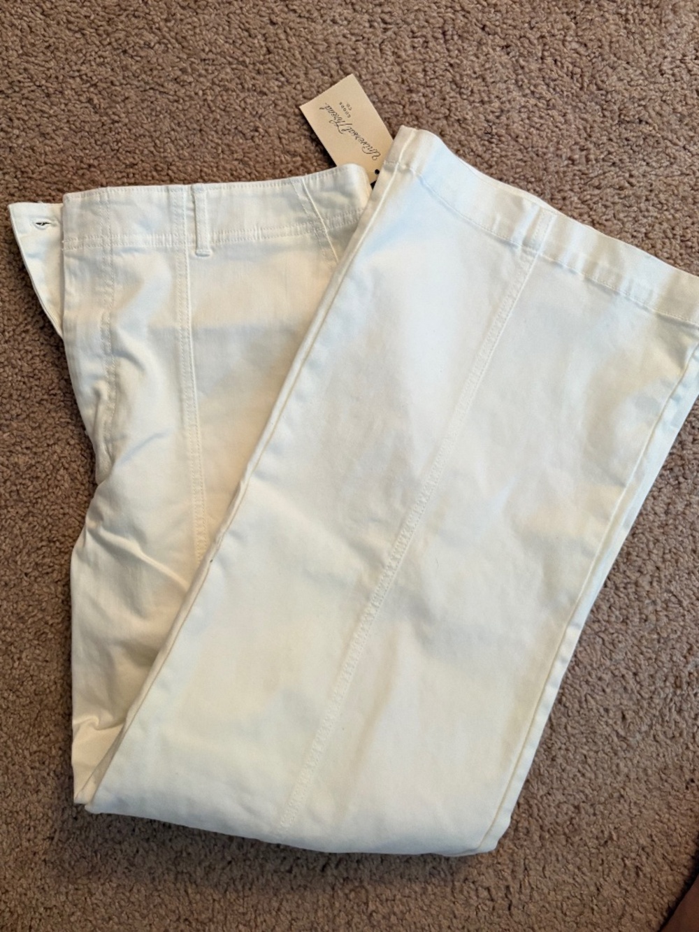 NWT Universal Thread Canvas Pants – Women’s Size 14
